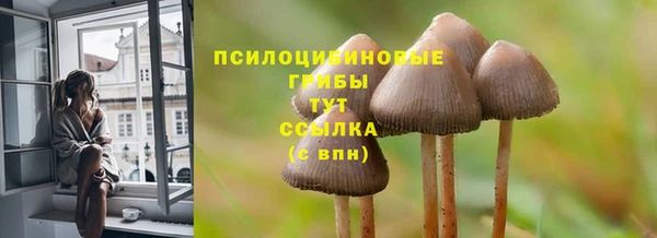 экстази Гусиноозёрск